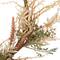 24" Fall Harvest Pale Roses with Foliage Artificial Wreath